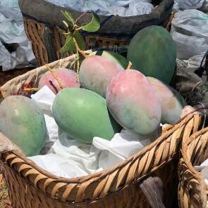 6年实力产地供货商，四川攀···